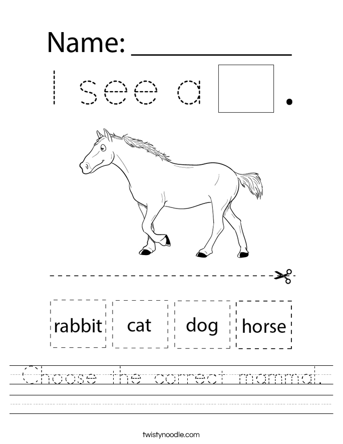 Choose the correct mammal. Worksheet