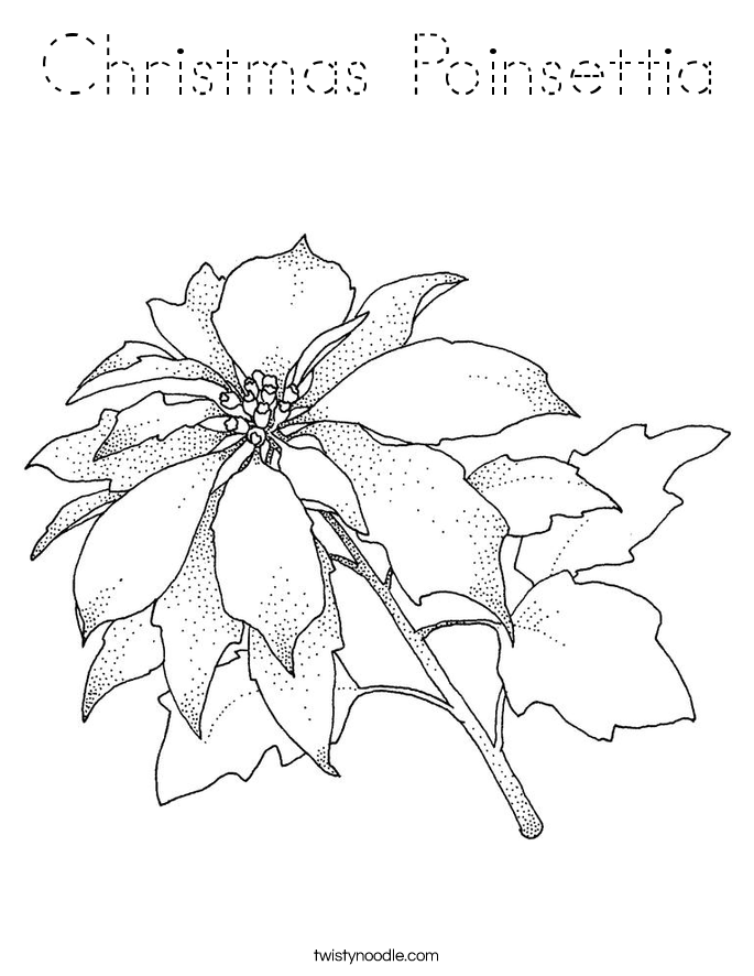 Christmas Poinsettia Coloring Page