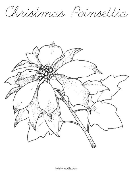 Chrismas Poinsettia Coloring Page