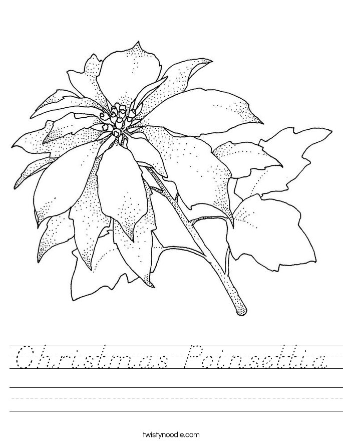 Christmas Poinsettia Worksheet