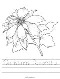 Christmas Poinsettia Worksheet