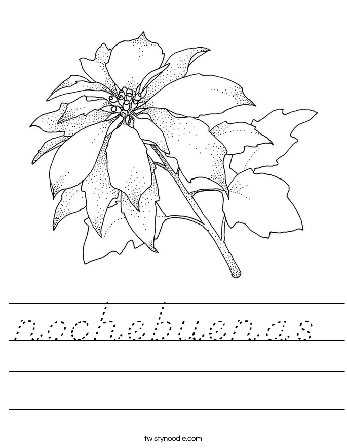 nochebuenas  Worksheet