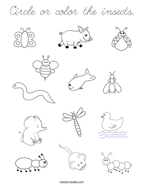 Circle or color the insects. Coloring Page