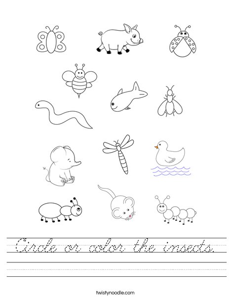 Circle or color the insects Worksheet Cursive Twisty Noodle Circle or color the insects Worksheet Cursive Twisty Noodle