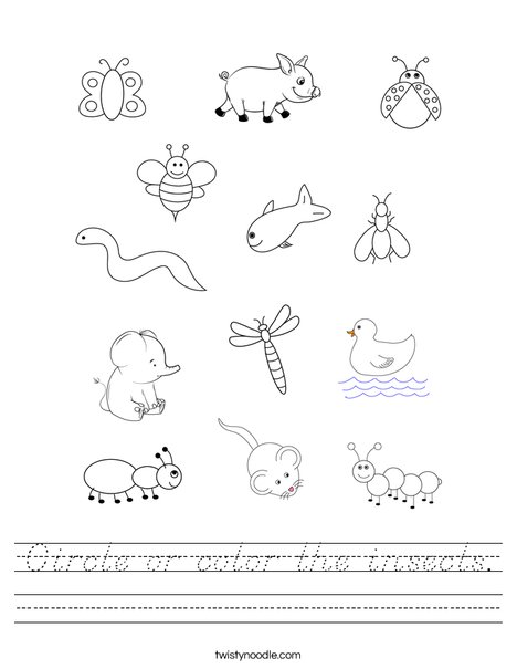 Circle or color the insects. Worksheet