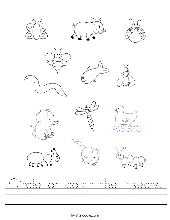 Circle or color the insects. Worksheet