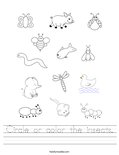 Circle or color the insects. Worksheet