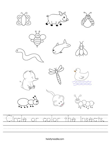 Circle or color the insects Worksheet Twisty Noodle Circle or color the insects Worksheet Twisty Noodle