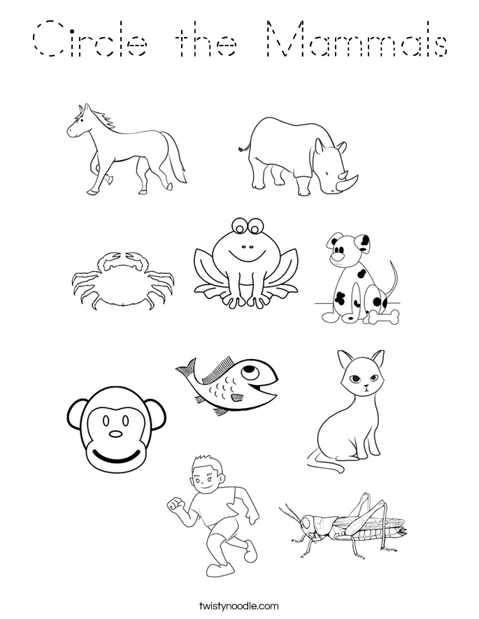 Circle the Mammals Coloring Page