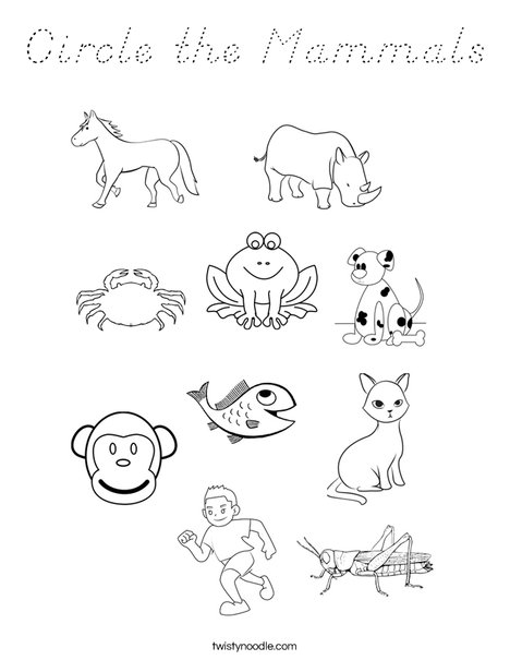 Circle the Mammals Coloring Page