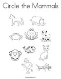 Circle the Mammals Coloring Page