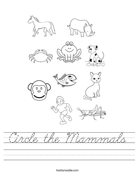 Circle the Mammals Worksheet