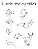 Circle the Reptiles Coloring Page