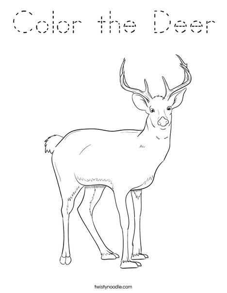 Color the Deer Coloring Page