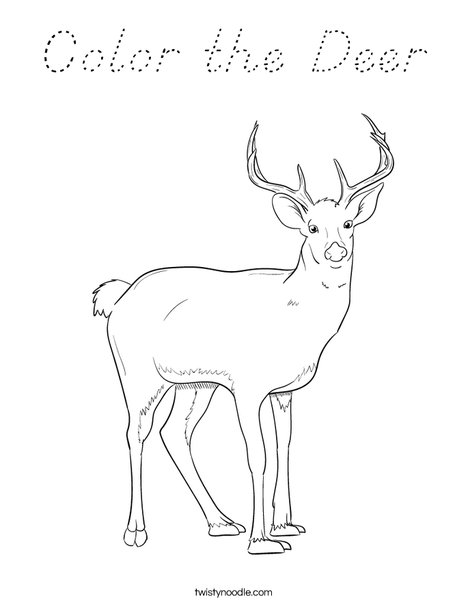 Color the Deer Coloring Page