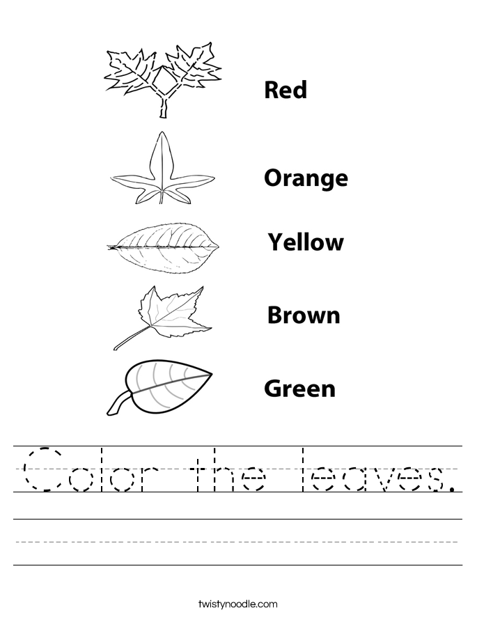 Color the leaves Worksheet - Twisty Noodle