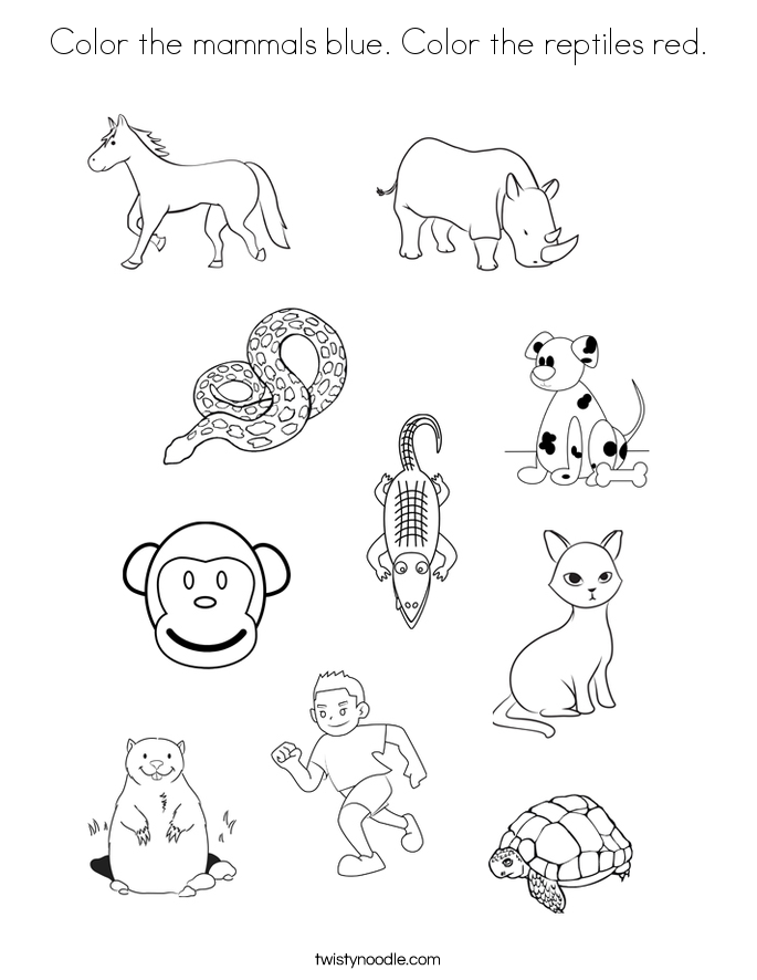 Color the mammals blue Color the reptiles red Coloring Page - Twisty Noodle