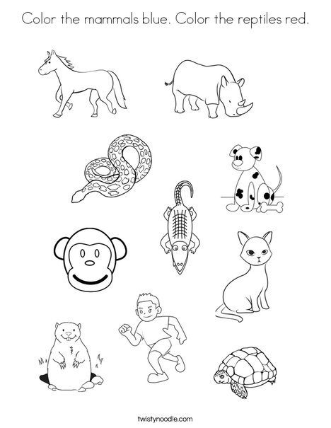 Color the mammals blue. Color the reptiles red. Coloring Page