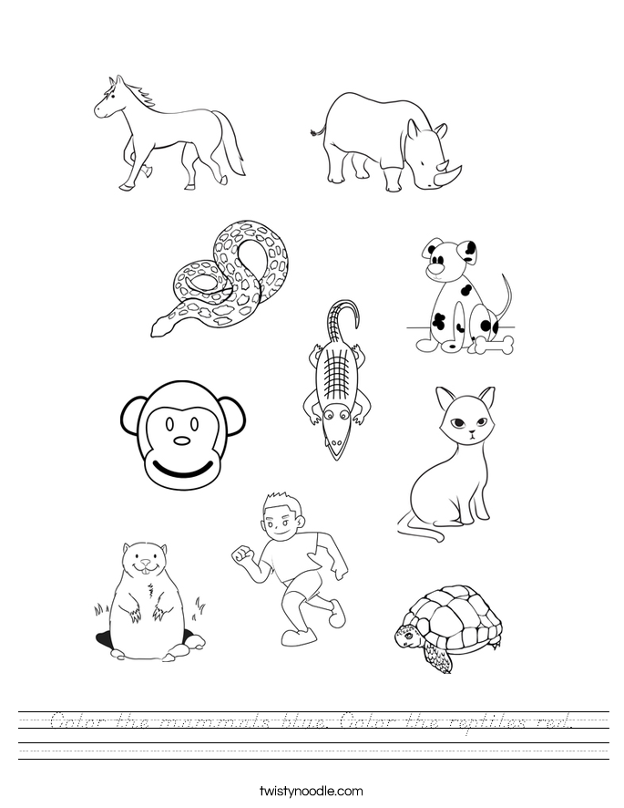 Color the mammals blue. Color the reptiles red. Worksheet