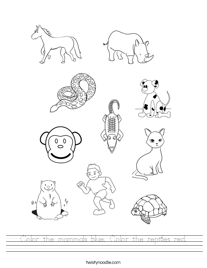 Color the mammals blue. Color the reptiles red. Worksheet