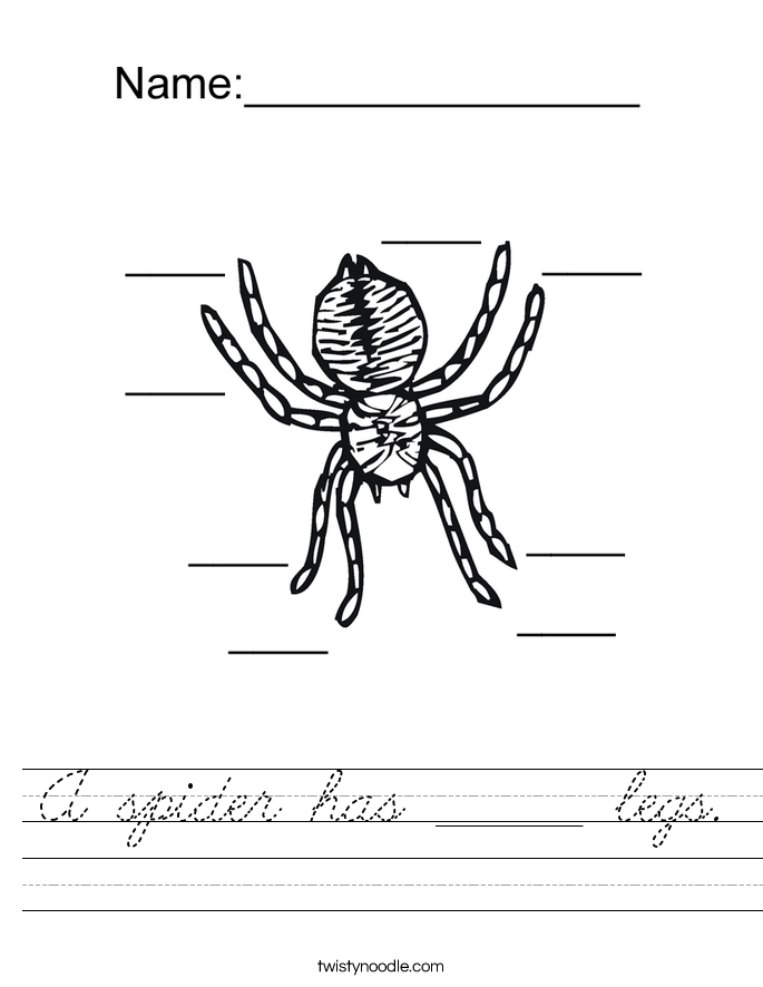 A spider has ______ legs. Worksheet