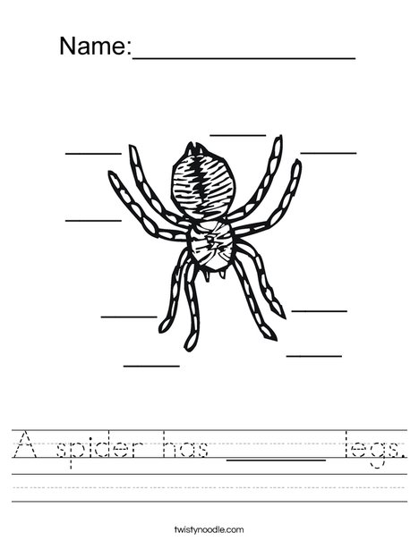 Count the spider legs Worksheet