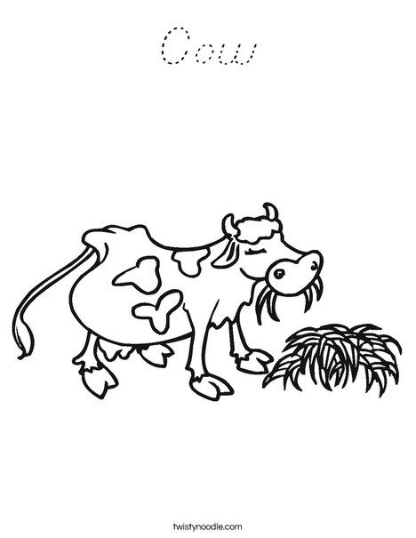Cow Chewing Coloring Page