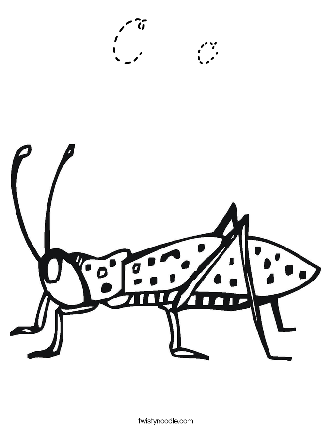  Coloring Page