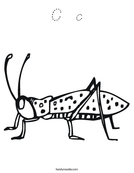 Cricket Coloring Page