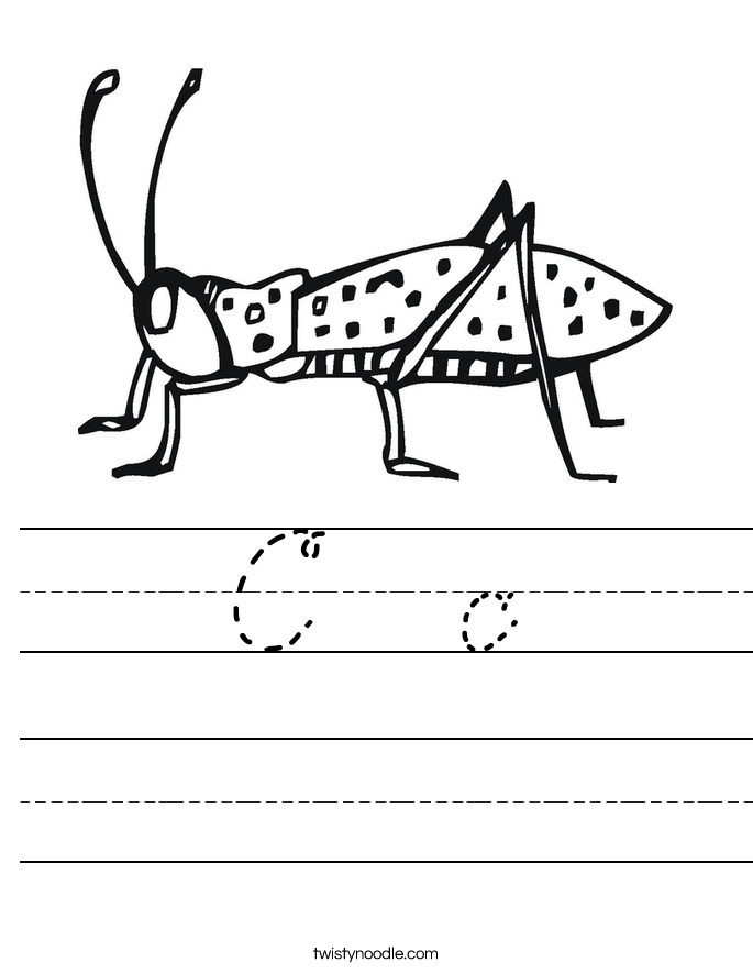 C  c Worksheet