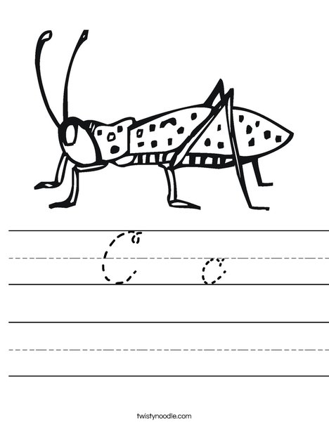 Cricket Worksheet