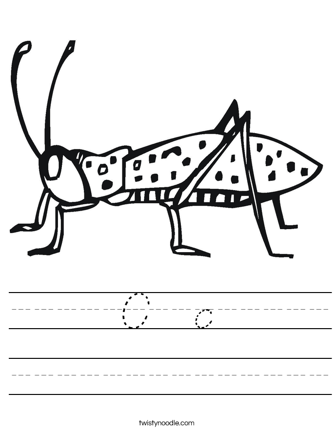 C  c Worksheet