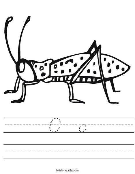 Cricket Worksheet