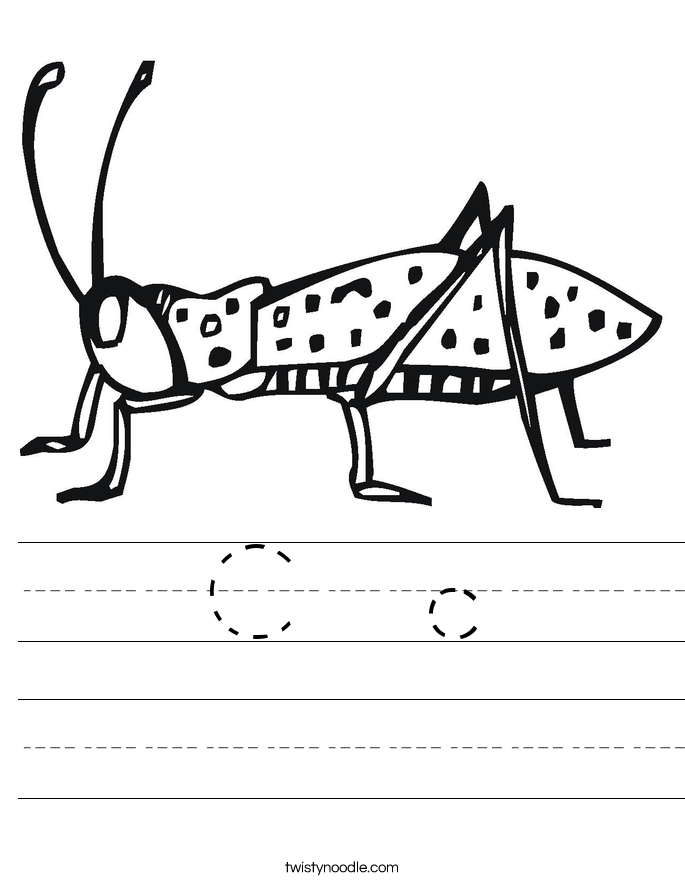 C  c Worksheet
