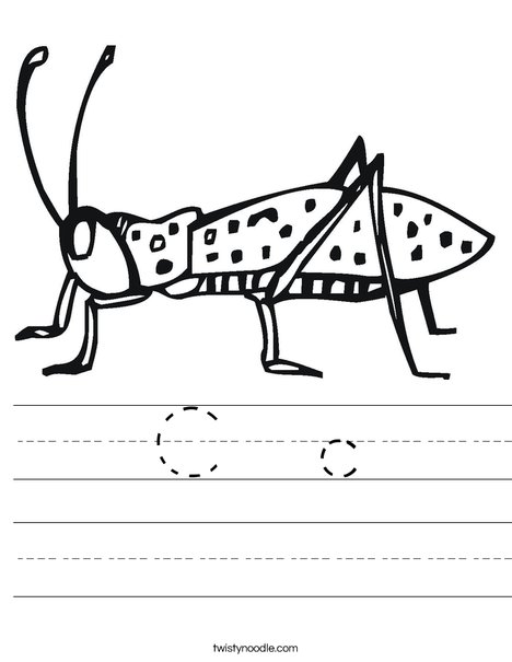 Cricket Worksheet