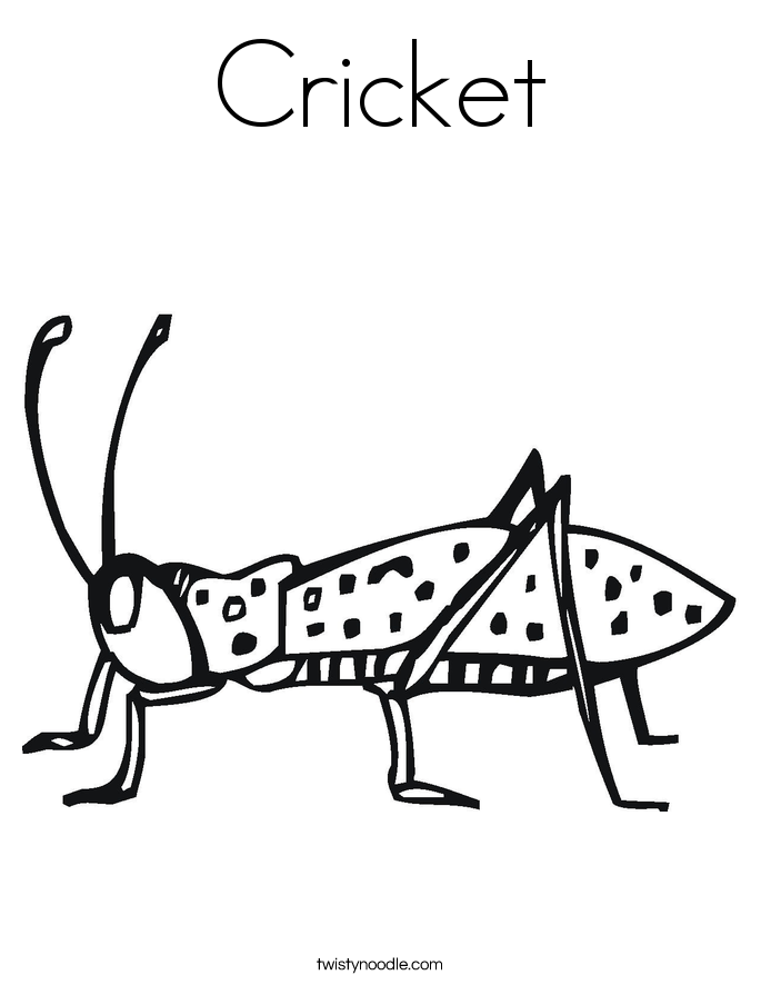 Cricket Coloring Page - Twisty Noodle