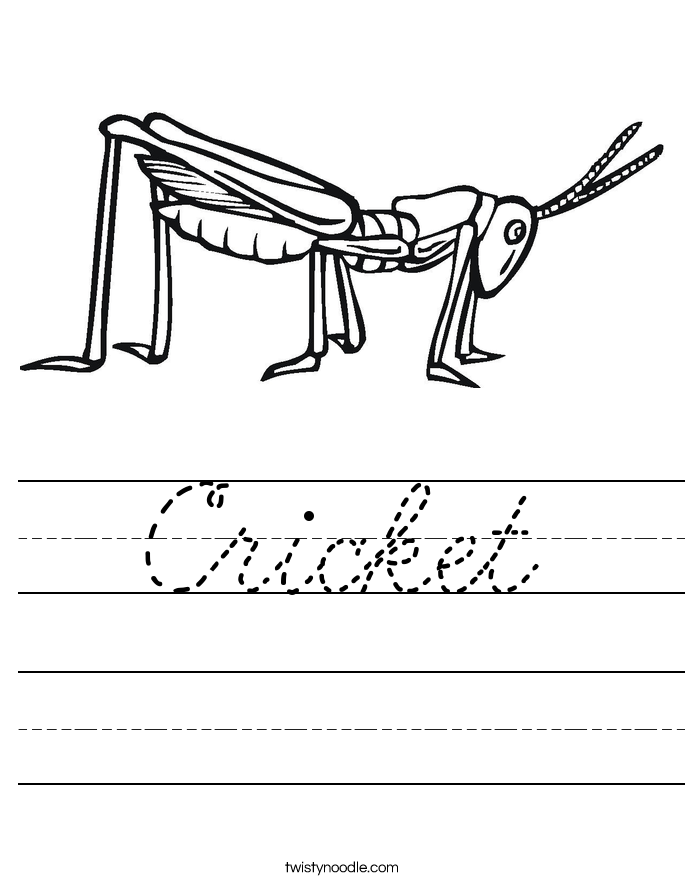 Cricket Worksheet