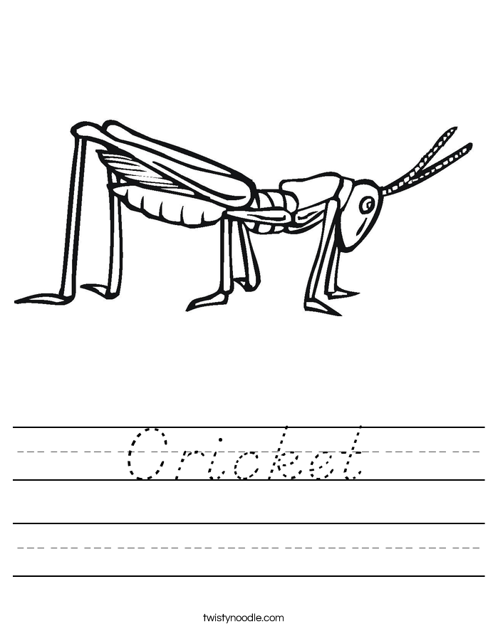 Cricket Worksheet