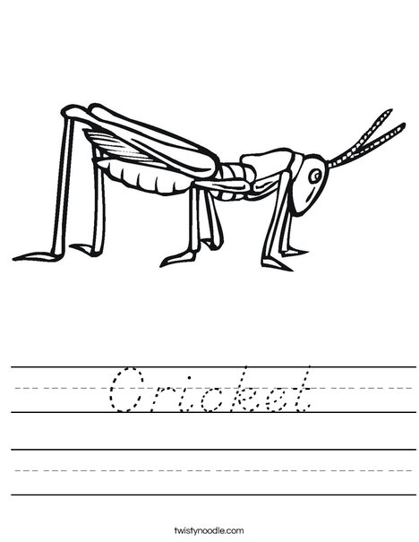 Grasshopper Worksheet