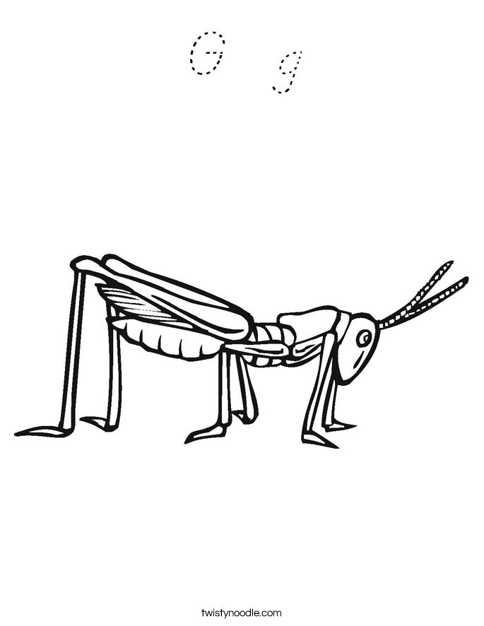 G  g Coloring Page