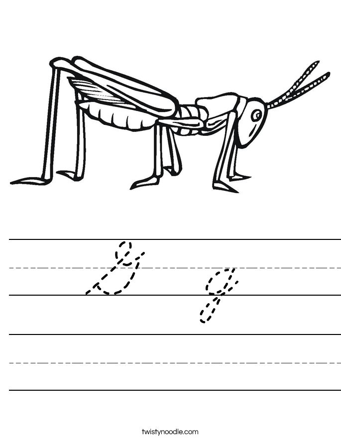 G  g Worksheet