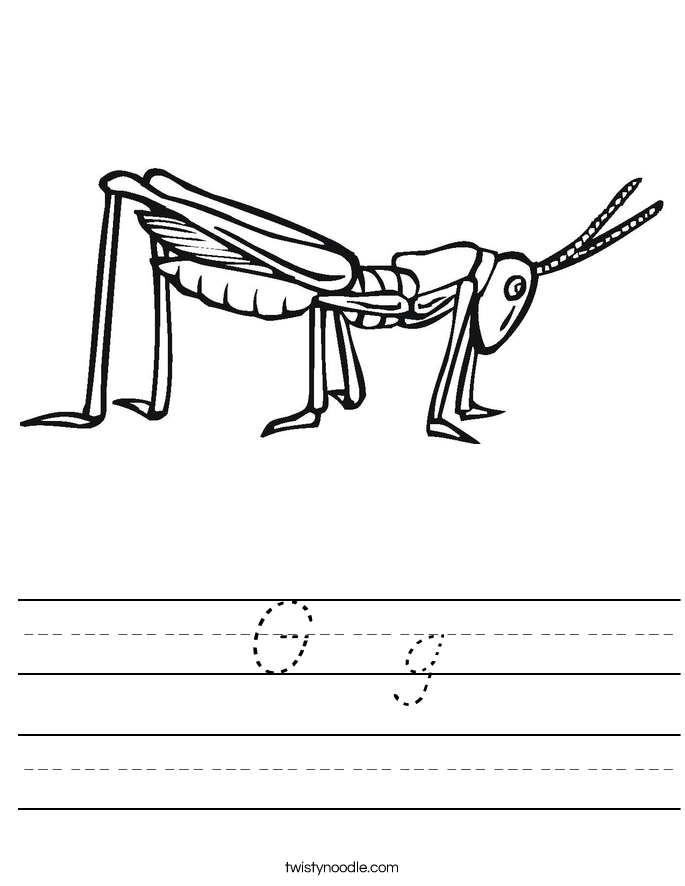 G  g Worksheet