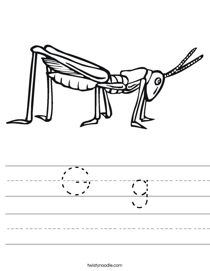 G  g Worksheet
