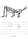 G  g Worksheet