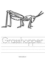 Grasshopper Handwriting Sheet