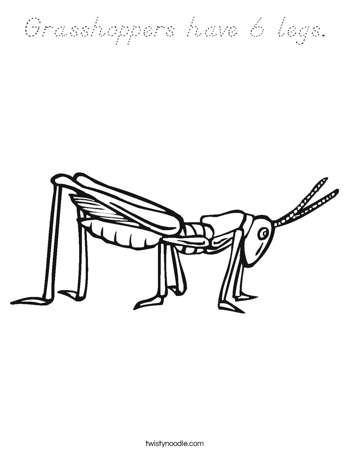 Grasshoppers have 6 legs. Coloring Page