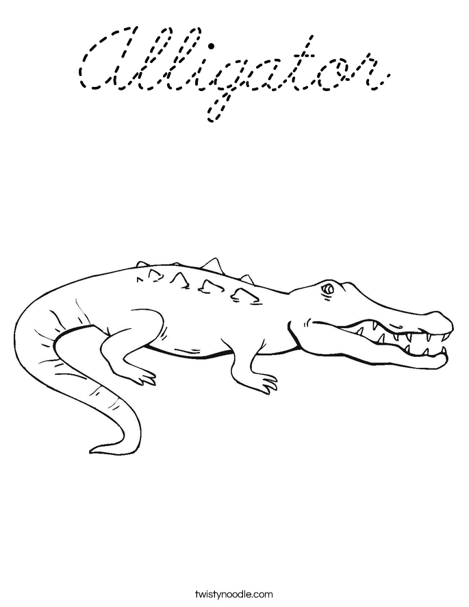  Coloring Page