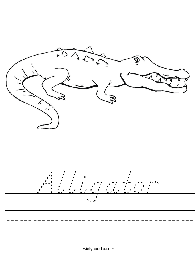 Alligator Worksheet