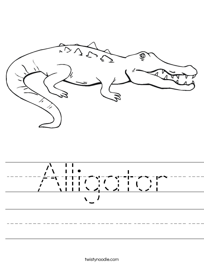 Alligator Worksheet