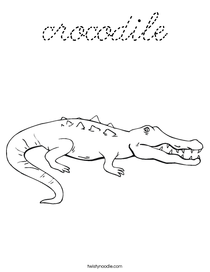  Coloring Page